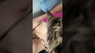 Tiktok Big Bank ??? (2023) #shorts #tiktokchallenge #bigbanktiktok