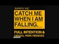 SUPAFLY INC - CATCH ME WHEN I'M FALLING ...