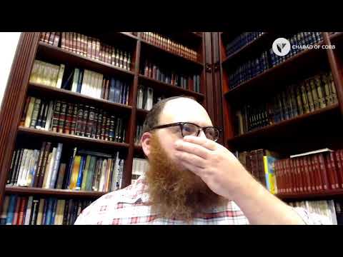 Tanya - Compiler's Foreword - Introduction to Tanya, pt. 3