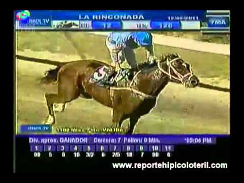 Resumen La Rinconada Sábado 12/02/2011