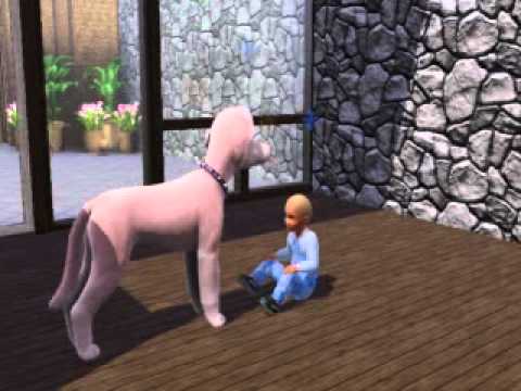 code installation sims entre chien et chat pc