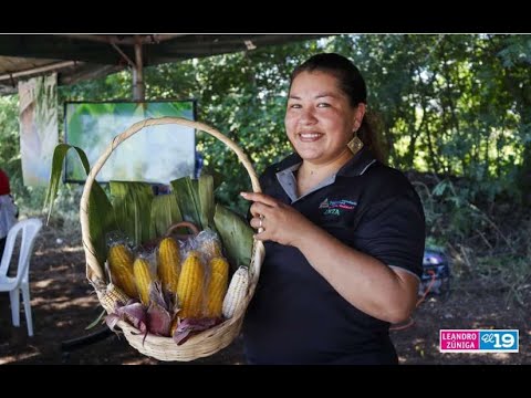 Maíz: Gastronomía, identidad, cultura y carácter del pueblo nicaragüense