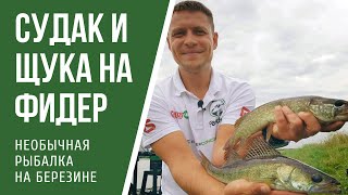 Все о рыбалка в беларуси