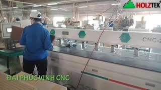 HOLZTEK. MÁY KHOAN NGANG CNC 2 Đầu cao tốc giá tốt nhất thị trường VN 2020
