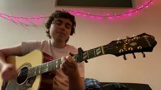 The Mountain Goats - Animal Mask Cover