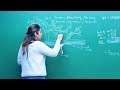 How Do Organisms Reproduce Biology CBSE Class 10th Video Lecture Misostudy