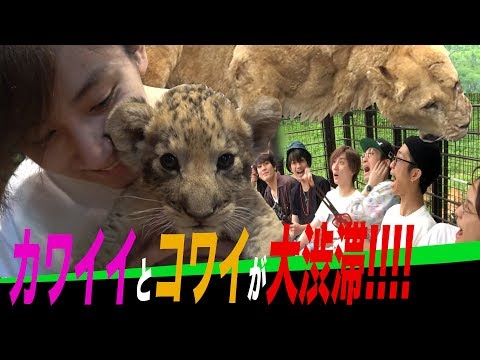 ほうとう不動 東恋路店