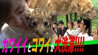 SixTONES【10万円アポなし旅】１泊2日弾丸バスツアー第3弾！