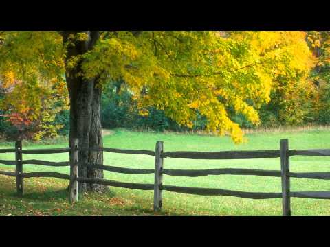 Aleksey Beloozerov - October (Grigory Fatyanov Remix)