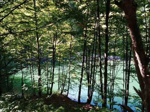 Како избећи узрујаност срца и душевни немир