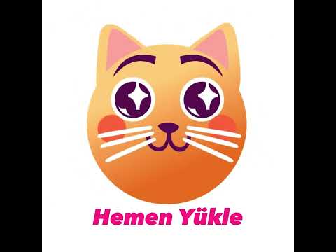 Daily Cat