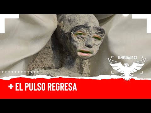 EL PULSO REGRESA - EL PULSO DE LA REPÚBLICA