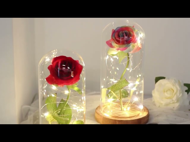 Vídeo relacionado con BOLEi Rosa Eterna LED, Regalos Originales para Mujer(Rosa Rosa)