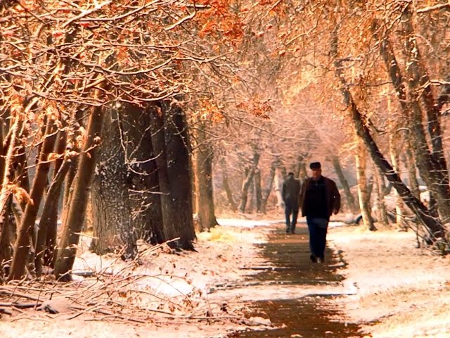 Покров день