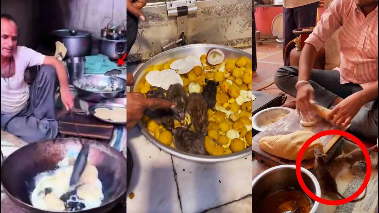 LAS GALLETAS de LA INDIA y los videos de COMIDA de LA INDIA ¿SON REALES?