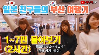 (요청)일본 친구들과 부산여행 1-7 몰아 보기 1일차 - 애니악TV