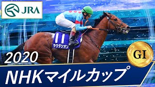 Nhkマイルc 過去のg1レース重賞レース一覧 競馬重賞過去の結果データ