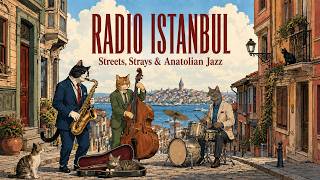 RADIO ISTANBUL: Streets, Strays & Anatolian Jazz | Turkish Folk Jazz F