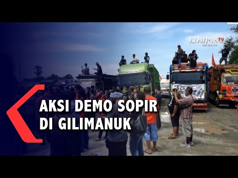 Aksi Demo Sopir Di Gilimanuk