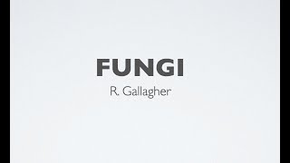 Fungi