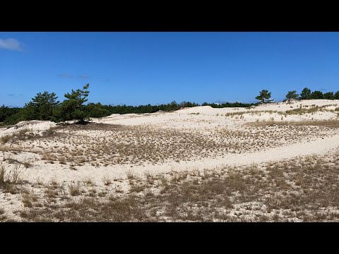Livestream aus der polnischen Sahara: Wanderdüne Leba an der Ostsee