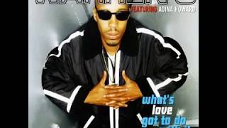 Warren G &amp; Adina Howard - What&#39;s Love Got To Do With It