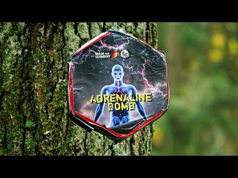 ᴴᴰ Adrenaline Bomb - Lesli | Neuheit 2014/2015
