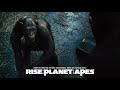 36. Buck's Release (Film Version) (Edit) | Rise Of The Planet Of The Apes (Complete Soundtrack)