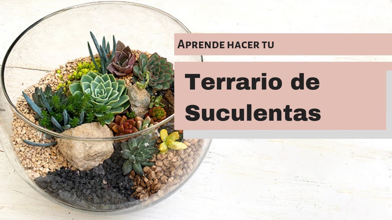 How to make your succulent terrarium Easy. English subtitles activate them