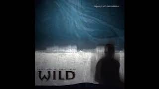 W.I.L.D - Agony of indecision (2012 - Full album)