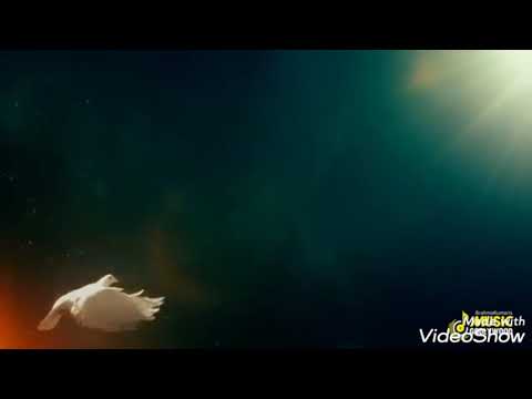 తల్లి తండ్రివి నీవే క్రొత్త పాట!!!Tallivi thandrivi neeve baba!! Bramhakumaris telugu songs