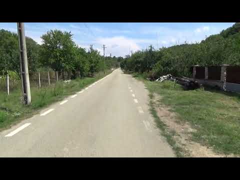 Groși, Timiș, Banat 2023