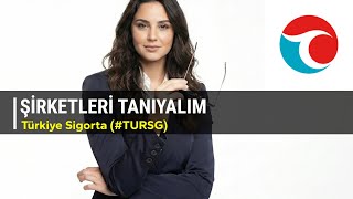 Şirketleri Tanıyalım - Türkiye Sigorta #TURSG