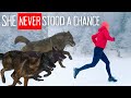 Wolf Attack The Gruesome Mauling Of Candice Berner