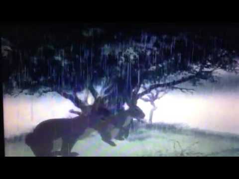 Watership Down 1978 clip 3:Meet cowslip