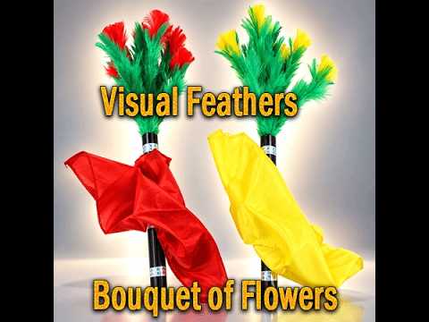 Voir la vidéo de Visual Feathers - Bouquet of Flowers