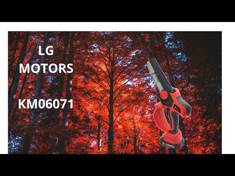 ΑΛΥΣΟΠΡΙΟΝΟ ΚΛΑΔΕΜΑΤΟΣ LG Motors-thumb-1