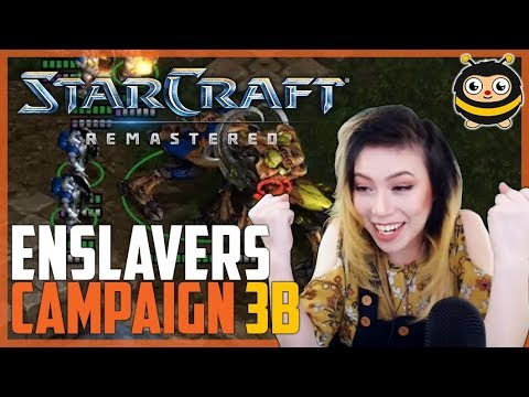 Livibee | Enslaver Campaign [SC:R] | Mission Three B