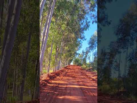 Paraná Ivaté Cidade da Felicidade 