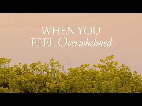 Scriptures for When You Feel Overwhelmed | Holly Furtick