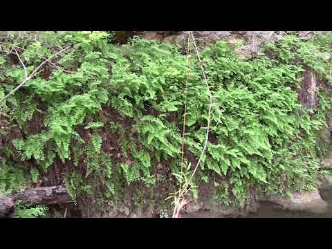 Let's Explore Nature at Candlelight Ranch