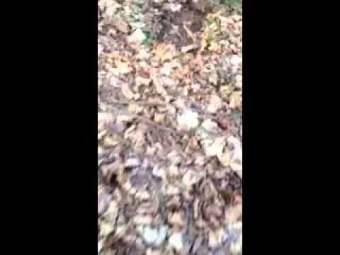 My deer funny moments!!