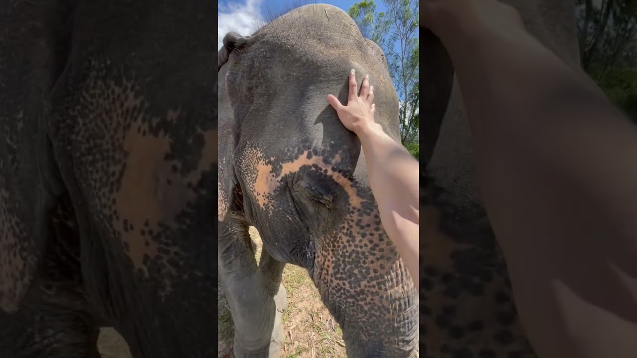 YouTube Short thumbnail