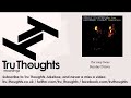 The Limp Twins - Sunday Driver - Tru Thoughts ...