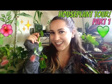 Spring Houseplant Tour! Part 1!