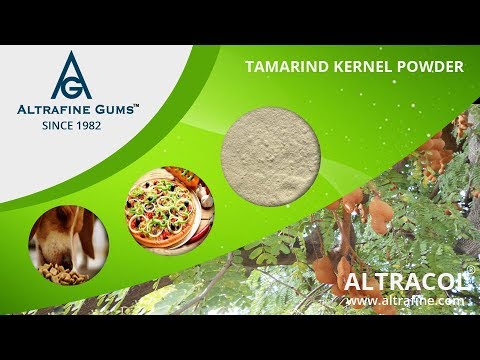 All about Tamarind Kernel Powder