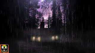Thunderstorm sounds with rain thunder and sounds of owls and wolves for sleep study relax