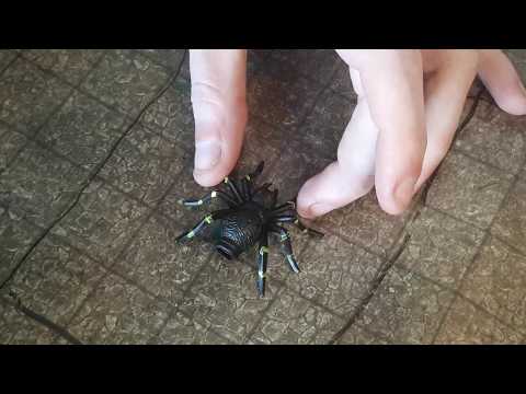 Painting Spider Minis for Tabletop Gaming