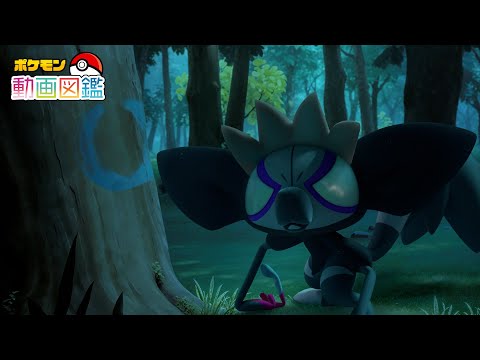 【公式】「ポケモン動画図鑑」No.0945 タギングル