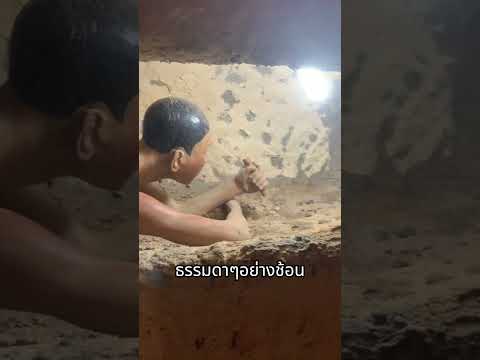 ขุดอุโมงค์แหกคุก